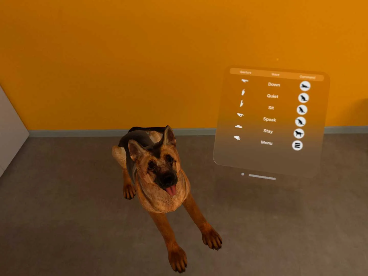 Dog MR